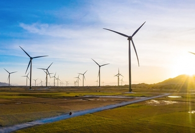 Bộ Công Thương: Đề xuất dừng cấp chủ trương đầu tư dự án điện gió, điện mặt trời chưa triển khai