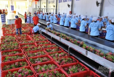 'Lộ diện' 4 thị trường xuất khẩu nông, lâm, thủy sản lớn nhất của Việt Nam