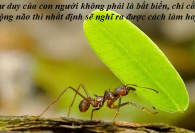 Chuyện cuối tuần: Tuyệt chiêu 'Sập cửa vào mặt' và 'Kẹt chân vào cửa' trong kinh doanh - bạn đã thử dùng?