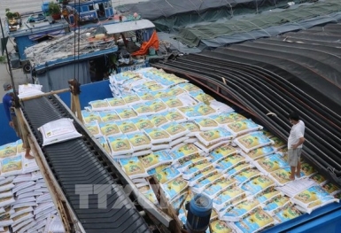 Nguồn cung và giá phân bón biến động, nông dân đối mặt khủng hoảng giá phân bón