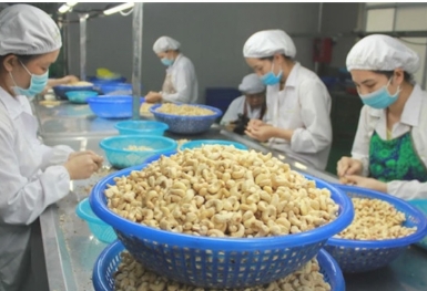 Liệu 5 ngân hàng Việt có phải chịu rủi ro trong vụ nghi lừa đảo gần 1.000 tỷ lớn nhất lịch sử ngành điều?