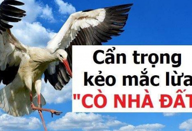 Youtuber kiêm môi giới bất động sản lật tẩy 6 chiêu “lùa gà” phổ biến của giới cò đất không-có-tâm mà người mua nhà cần biết