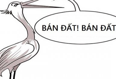 Tâm sự nghề của một môi giới nhà đất: Nhà đầu tư thích qua mặt môi giới - khôn hay dại?