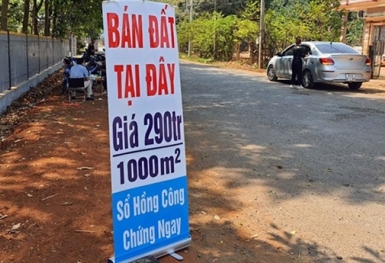 Sốt đất không do tín dụng: Tại sao tín dụng BĐS vẫn tăng?