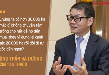 HAGL Agrico (HNG): Doanh thu giảm phân nửa xuống 260 tỷ sau quý đầu tiên do Thaco 'cầm lái', 3 tháng thực hiện 12% chỉ tiêu cả năm 2021