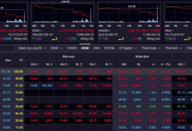 Bluechips bị bán tháo mạnh, Vn-Index giảm sâu tới hơn 60 điểm