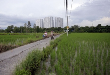 Xác định lại hệ số điều chỉnh giá đất nông nghiệp tại Tp. HCM