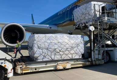 Chưa xem xét thành lập hãng bay chuyên chở hàng