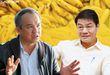 HAGL Agrico (HNG): Cổ phiếu giảm từ 18.000 đồng/cp xuống còn 8.250 đồng/cp, Thaco dừng việc đầu tư sở hữu 741,5 triệu cổ phiếu phát hành hoán đổi nợ