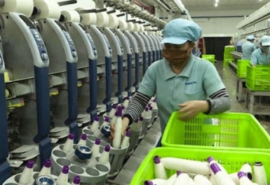 Trưởng Ban pháp chế VCCI: Doanh nghiệp đang rất khó khăn