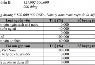 Hà Nội: Thêm công ty 128.000 tỷ, không có hoạt động gì?