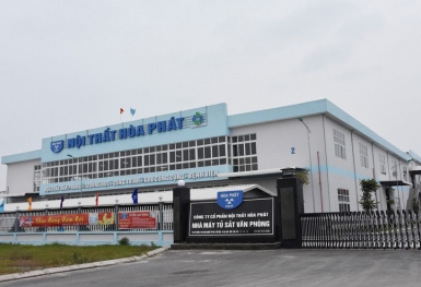 Một công ty vốn điều lệ 8 tỷ đồng chi gần 900 tỷ đồng mua lại mảng nội thất của Hòa Phát
