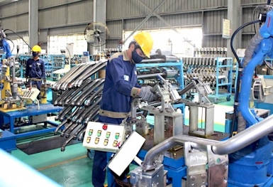 Doanh nghiệp nhỏ và vừa kêu gọi 5.000 chữ ký cầu cứu Chính phủ hỗ trợ để vượt qua 'bão' COVID-19