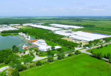 Vinamilk là đại diện duy nhất của ĐNA trong Top các thương hiệu giá trị và tiềm năng nhất ngành sữa