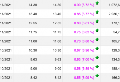Doanh nghiệp có cổ phiếu tăng trần 9 phiên liên tiếp vẫn chỉ có P/E bằng 2