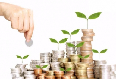 Nếu gom những 'hàng' này, có thể thu 1 vốn 10 lời ngay trong vòng 1 tháng