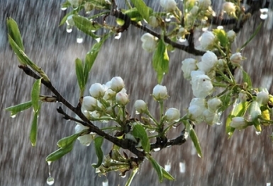 Dự báo thời tiết ngày mai 11/12: Áp thấp nhiệt đới sẽ liên tục mạnh lên