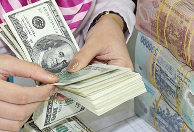 Tỷ giá ngoại tệ 15/12: Đồng USD đi ngang