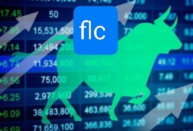 Tin nhanh chứng khoán ngày 20/12: VN Index giảm điểm nhẹ, nhóm cổ phiếu FLC toả sáng vào cuối phiên giao dịch
