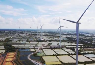 Nhiều nhà đầu tư điện gió lo phá sản