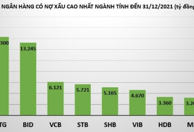 Năm 2021, loạt ngân hàng ghi nhận lợi nhuận thăng hoa