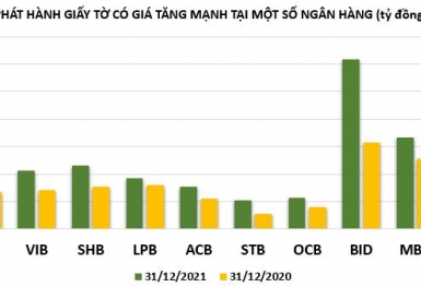Nhà băng nào phát hành giấy tờ có giá 'khủng' nhất năm 2021?