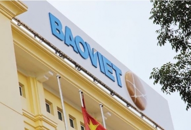 Năm 2020: Nợ phải trả tại BVH gấp 6 lần vốn chủ sở hữu
