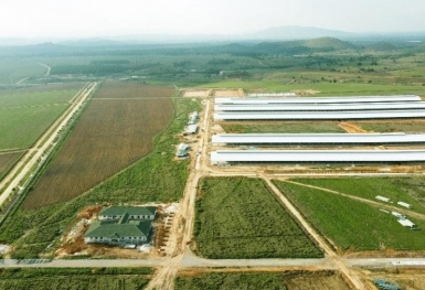 Doanh thu Vinamilk liên tục lập đỉnh mới trong 2021, nhà đầu tư có thể tiếp tục kỳ vọng?