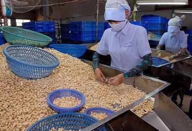 Chiến sự Nga – Ukraine tác động tiêu cực tới xuất khẩu nông sản Việt