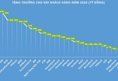 Tốc độ tăng trưởng cho vay khách hàng năm 2020 phân hóa mạnh