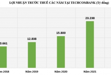Techcombank năm thứ 11 không chia cổ tức, chọn tăng vốn bằng ESOP