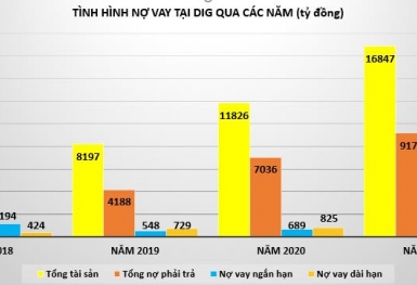 Tham vọng lớn, DIC Corp xoay dòng tiền từ kênh trái phiếu, gia tăng vay nợ