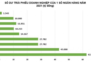 Ngân hàng nào có mức tăng đầu tư trái phiếu doanh nghiệp nhiều nhất?