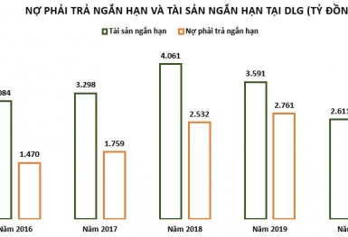 Nợ ngắn hạn vượt quá tài sản ngắn hạn, giá cổ phiếu DLG vẫn tím lịm