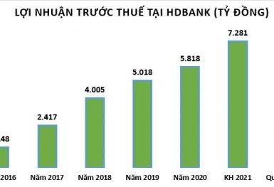 Lợi nhuận quý 1/2021 tăng 68%, HDBank muốn chia cổ tức 25% bằng cổ phiếu