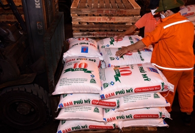 Đạm Phú Mỹ (DPM): Giá phân bón tăng, quý 1 tăng 74% so với cùng kỳ 2020