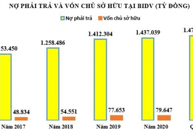 Quý 1/2021: BIDV trích hơn 7.000 tỷ đồng chi phí dự phòng rủi ro, nợ phải trả gấp 18 lần vốn chủ sở hữu