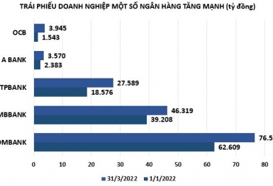 Quý I/2022: Loạt ngân hàng vẫn mạnh tay đầu tư vào trái phiếu doanh nghiệp
