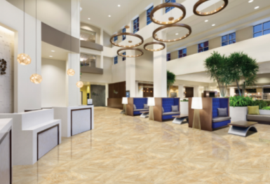 Viglacera (VGC) chốt danh sách cổ đông trả cổ tức bằng tiền tỷ lệ 11%