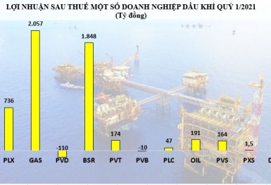 Lợi nhuận của doanh nghiệp dầu khí: Kẻ lỗ đậm, người tỏa sáng
