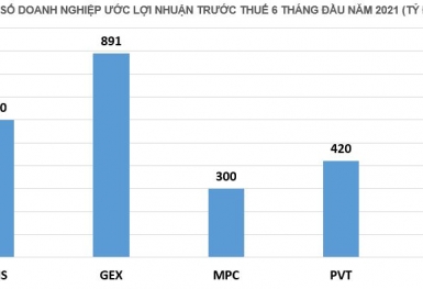 Chưa hết quý 2/2021, loạt doanh nghiệp hồ hởi báo lãi lớn