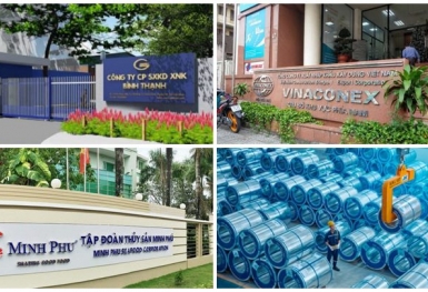 Doanh nghiệp dồn dập rót vốn nghìn tỷ đồng vào công ty con