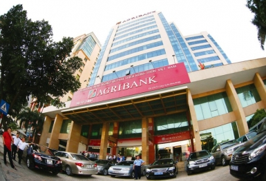 Agribank lại chật vật thu hồi khoản nợ trăm tỷ của Nông trường Sông Hậu