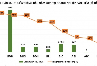 Quý II/2021: Lợi nhuận doanh nghiệp ngành bảo hiểm đầy biến động