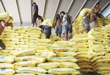 Sự chủ động của nông nghiệp Việt: Để thị trường điều tiết?