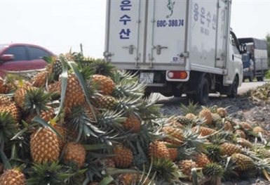 Đứt gãy chuỗi cung ứng do Covid-19: 5 điểm yếu logistics