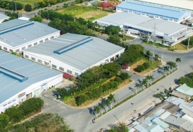 Lãi ròng nửa đầu năm của Tập đoàn Tân Tạo giảm 21%