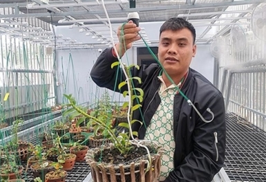 Đại gia chơi lan buôn lậu than: Kẽ hở ở đâu?