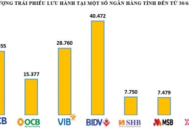 Hàng chục nghìn tỷ đồng trái phiếu của VIB, ACB, OCB... đang lưu hành thị trường