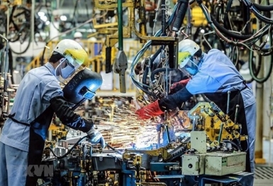 Các chỉ số tăng giảm đáng chú ý của nền kinh tế trong 8 tháng đầu năm 2021